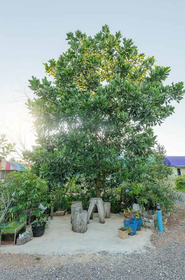 Ariya Garden Home Csumphon Kültér fotó